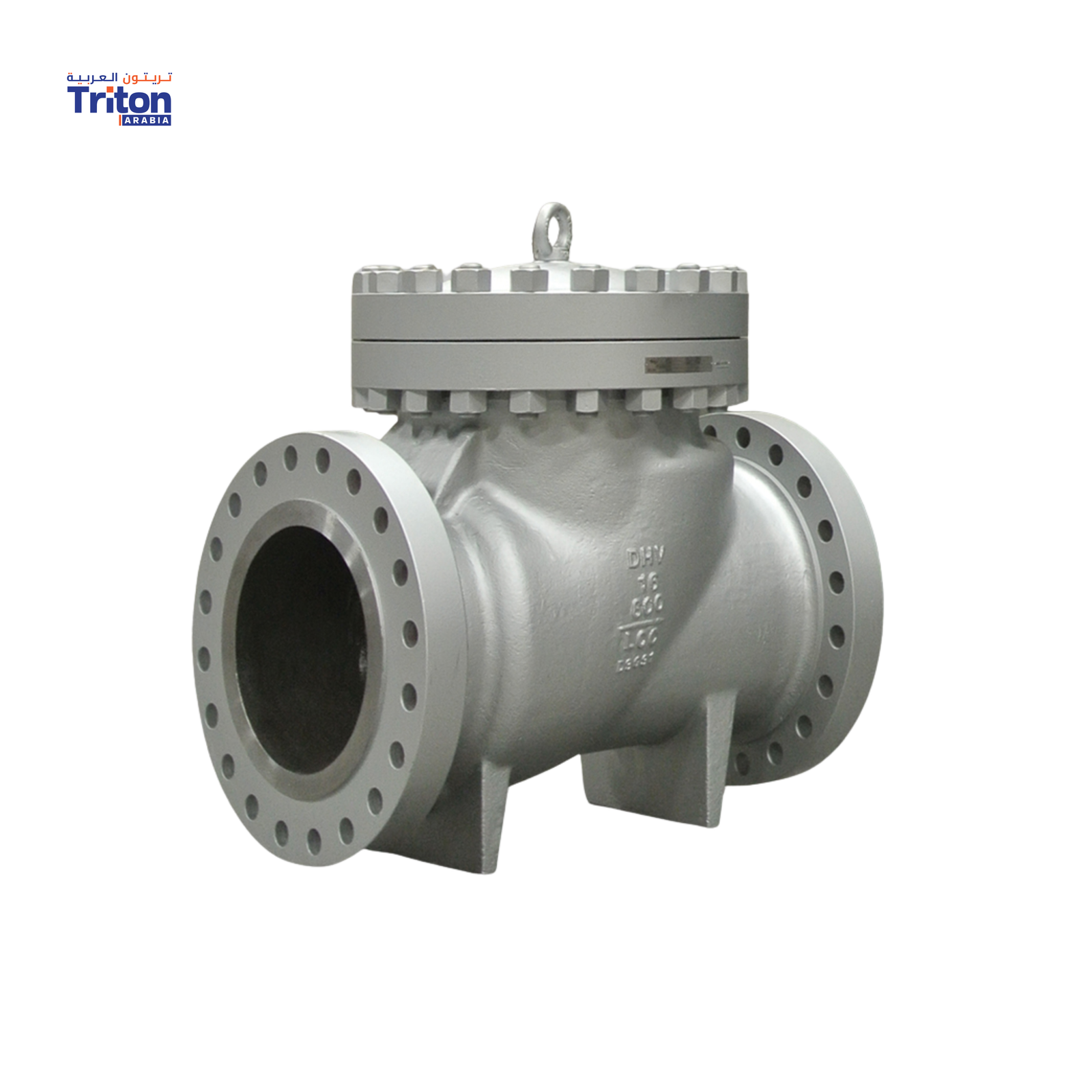 Check Valves
